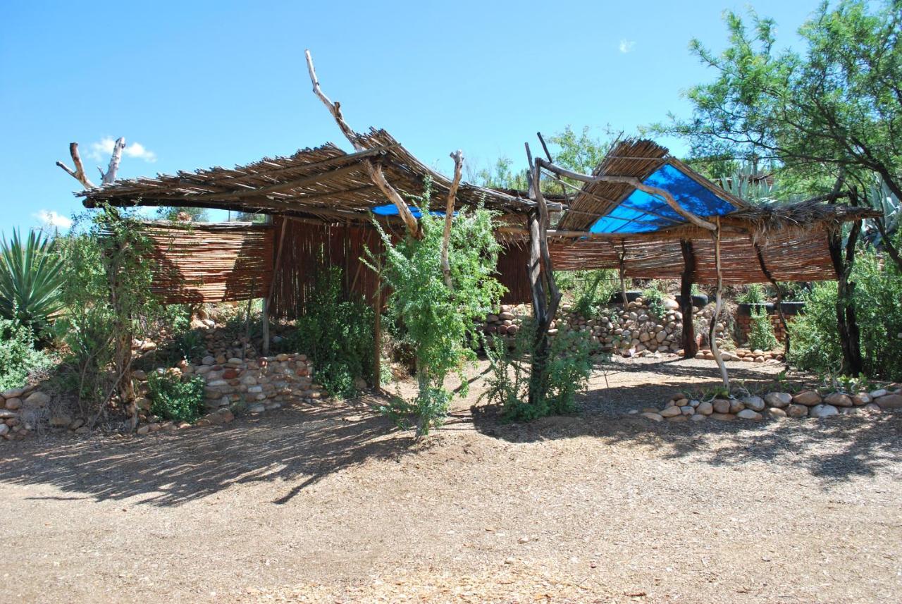 Amber Lagoon Backpackers Lodge Vleirivier Exterior photo